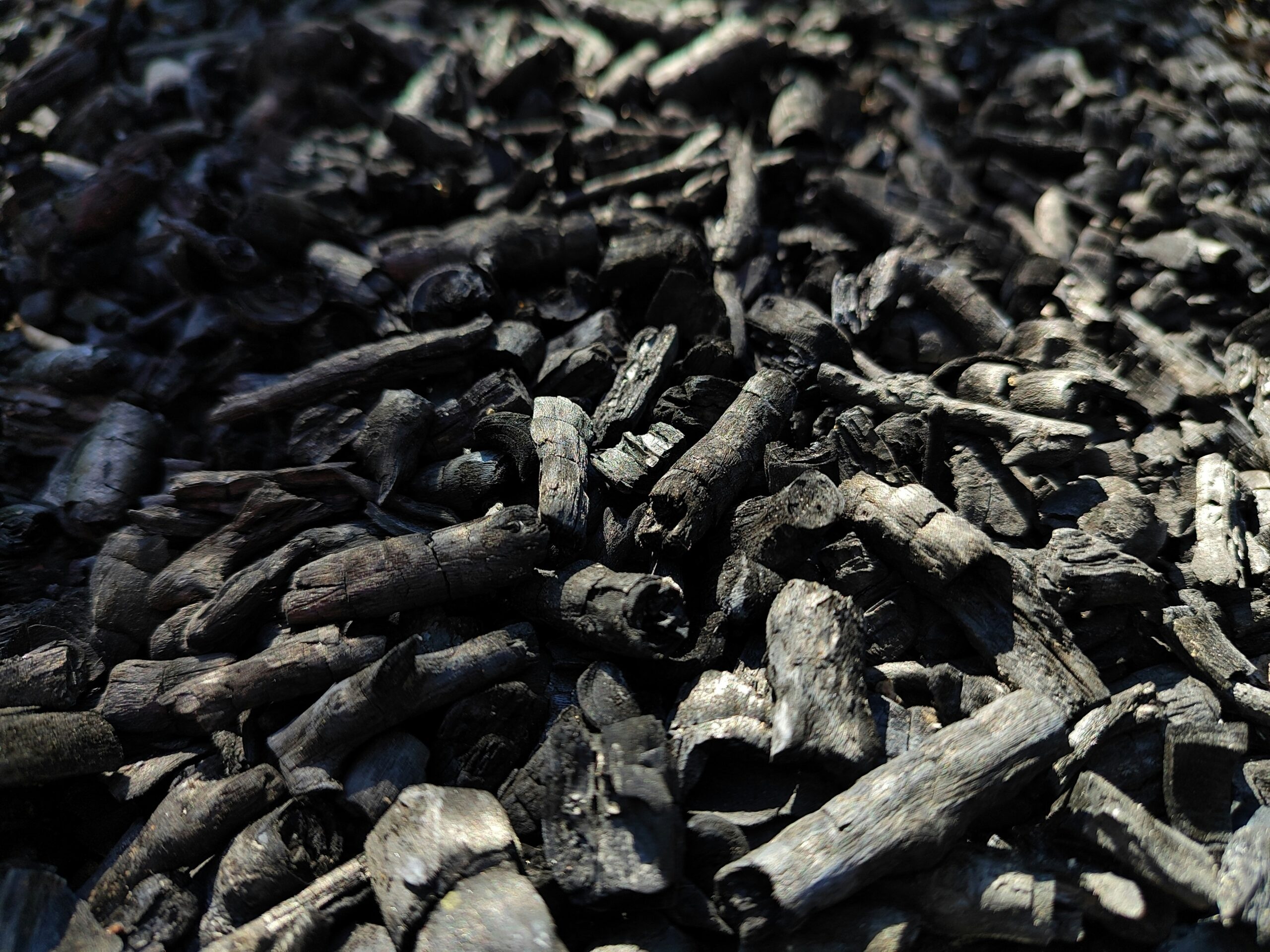 close up of burnt twigs